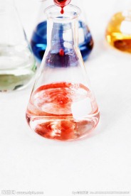 生物实验