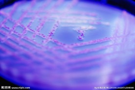 生物细胞