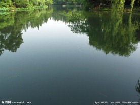 西湖湖面倒影