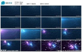 高清动态素材