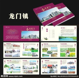 龙门镇流动现场会画册