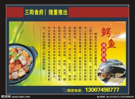 鳄鱼的简介