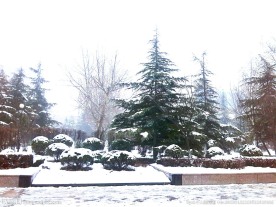雪景图