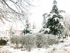 雪景图