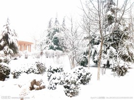 雪景图