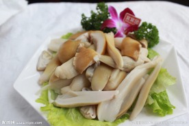 野山菌