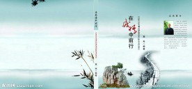 书籍封皮 在感悟中前行