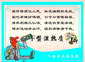 九大体质 湿热质
