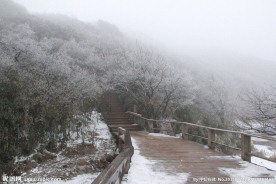 金佛山金龟朝阳雪景