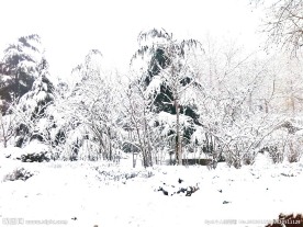 雪景图