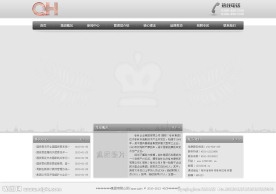 集团网页模板