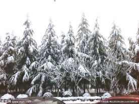雪景图