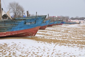 北戴河海边渔船