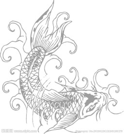 鲤鱼