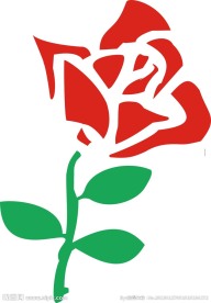 玫瑰花