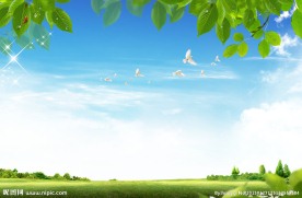 天空 草地 星