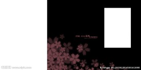影楼 工作室 婚纱照模版图片