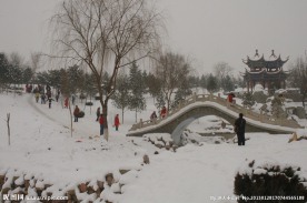 雪图片