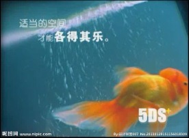 网站宣传片