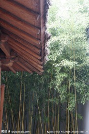 苏州博物馆一角