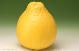 柚子
