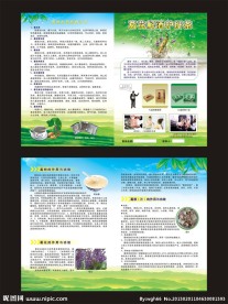 葛花茶宣传单