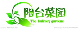 阳台菜园