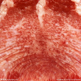 瘦肉