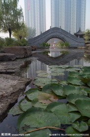 小区优美景观环境