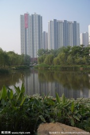 小区优美景观规划