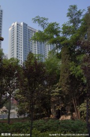 小区优美景观环境