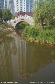 小区优美景观环境