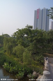 小区优美景观环境