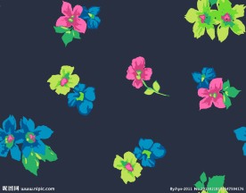 服装花纹