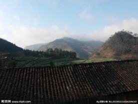 农村风景