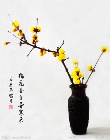梅花香自苦寒来