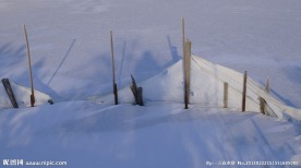雪后