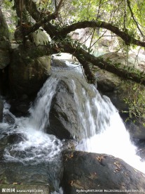白水寨