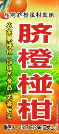 脐橙椪柑