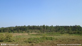 湛江森林公园摄影