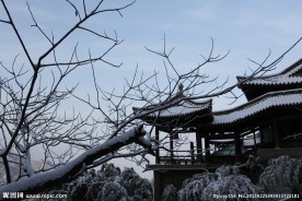 终南山雪景