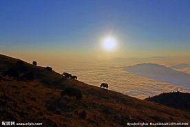 牛背山