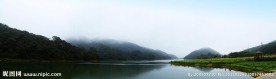 山水油菜花