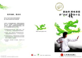 功夫龙