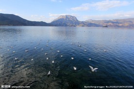 泸沽湖风景