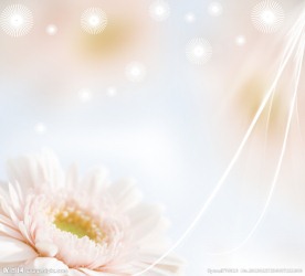 清新淡雅婚纱梦幻模板