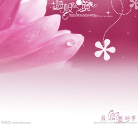 清新淡雅婚纱梦幻模板
