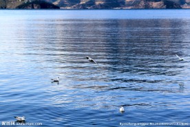 泸沽湖风景