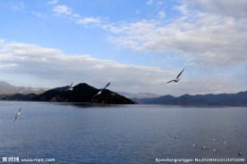 泸沽湖风景