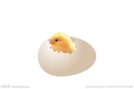 鸡蛋